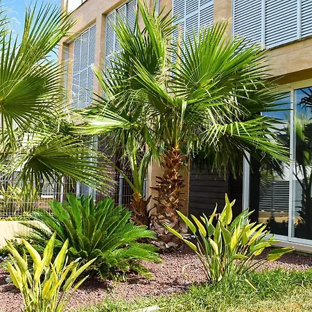 Semi Detached Right Side Ferienhaus Can Picafort (Mallorca)